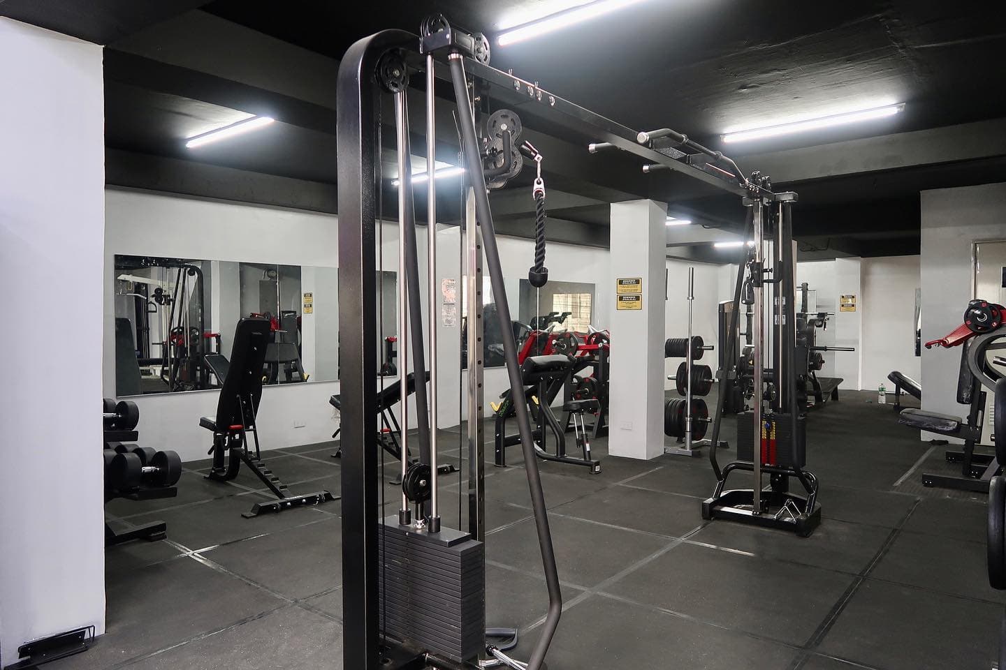 Cable crossover station at MNLA Fitness